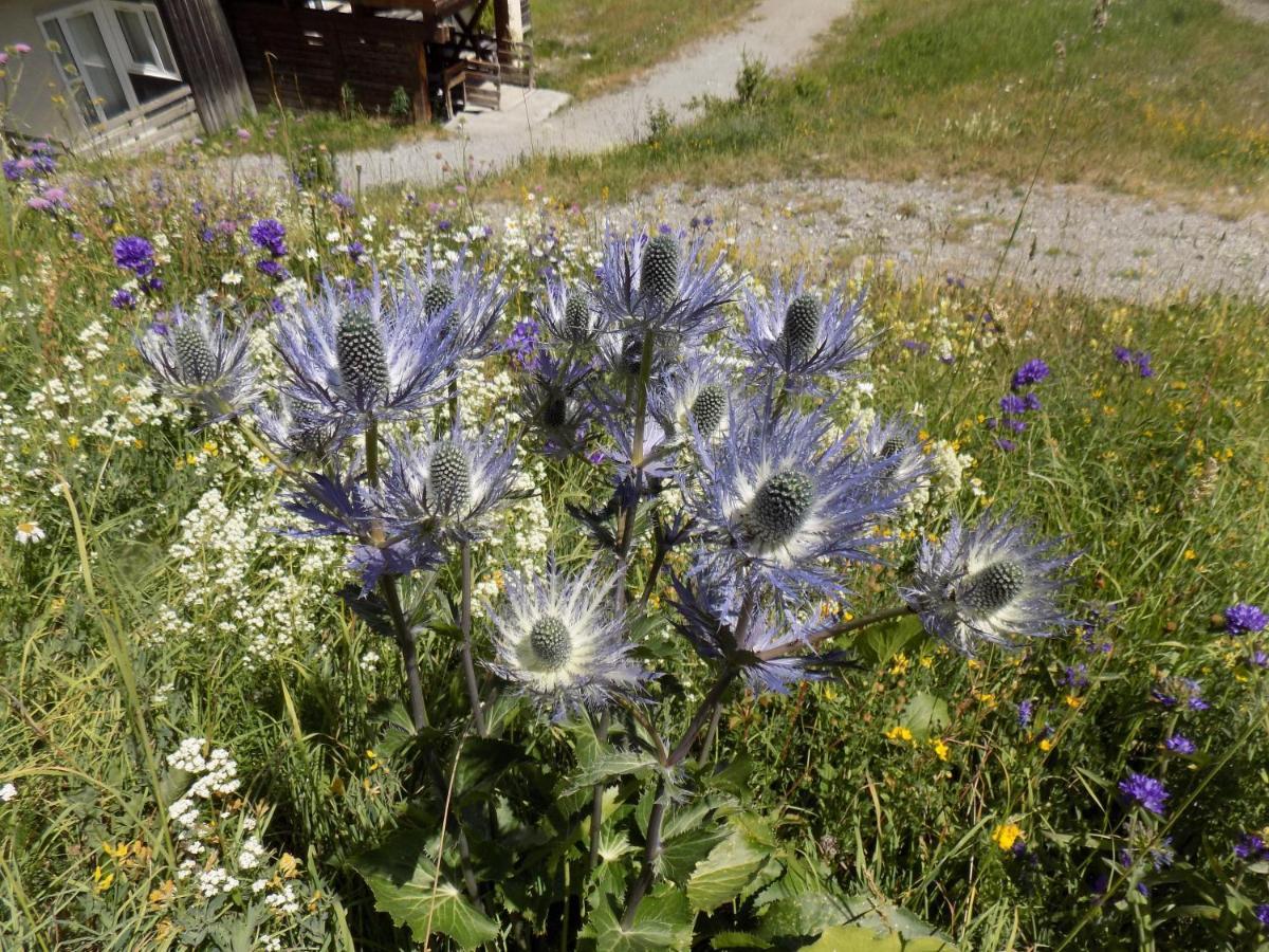 Appart 4 P Pied Des Pistes Risoul 1850 Екстериор снимка